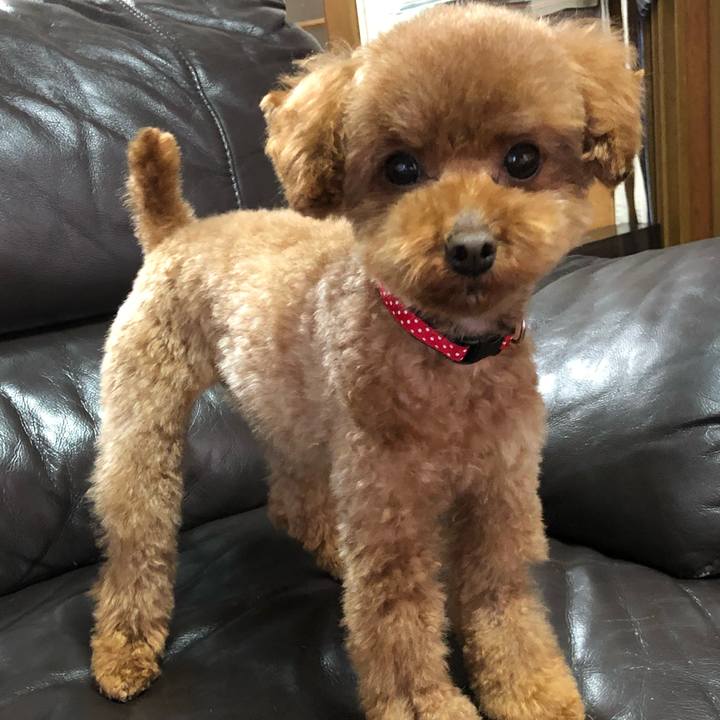 Dd5fbc3c 4510 4040 9303 538ffd4f002d 1555278599484