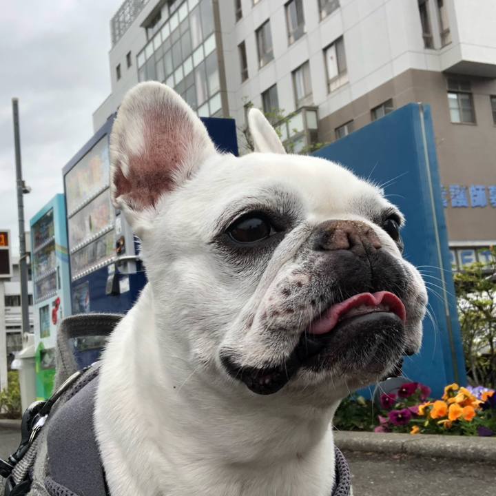 Dd5ff16d a89b 4c7f 9b8d 765e752b987b 1680940152350