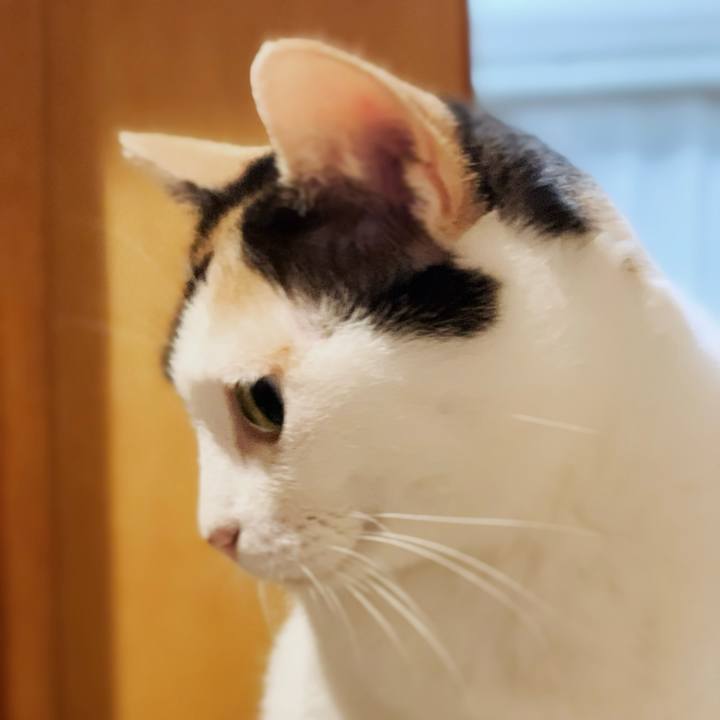 Dd601ea3 5ff7 4276 bd79 d7a35918afb8 1599881228310