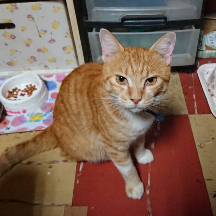 Dd6027e0 21d9 4cae 8652 86050a65c3bb 1565467144616