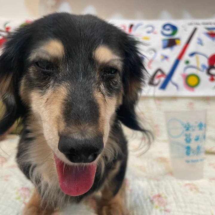 Dd604d2b c64a 4cfd 81aa c37c57c8e13b 1691843579623