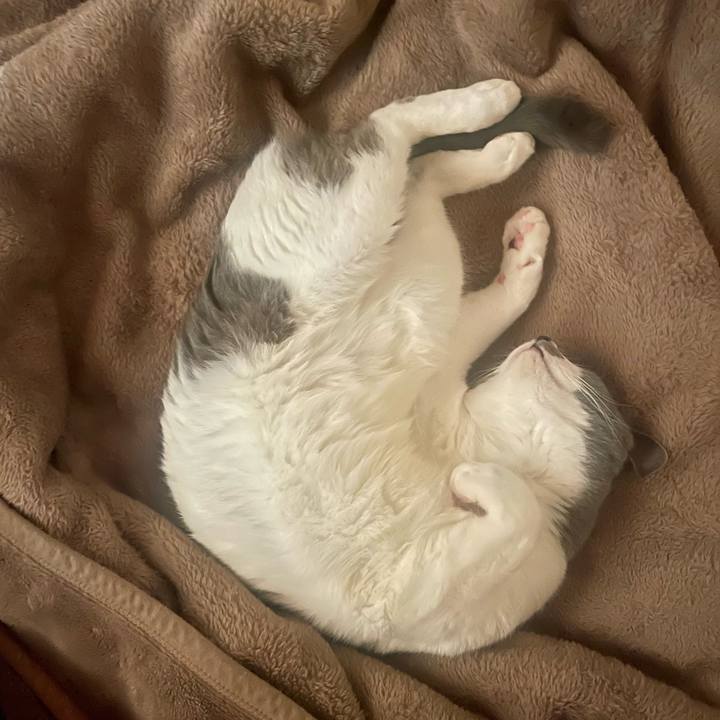 Dd6061e9 6988 4a80 bbe0 d10eb7030634 1678322381269