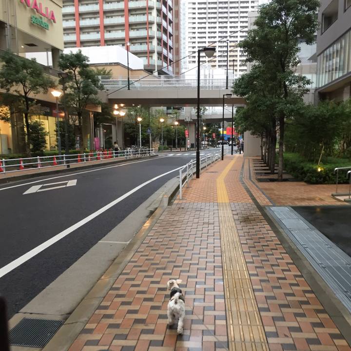 Dd60842e 9980 479f a692 bc78c64abb50 1508057851519