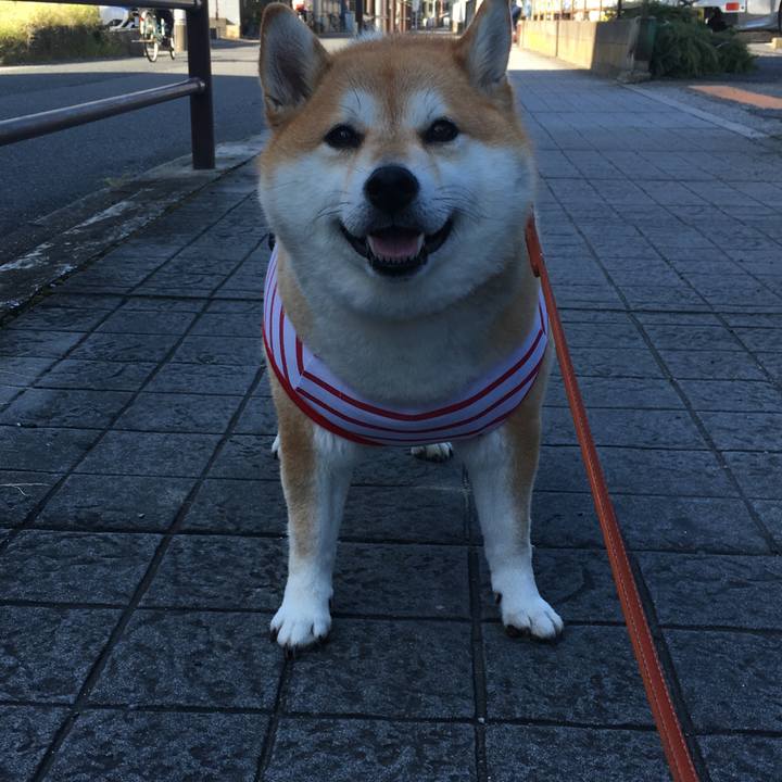 Dd60f80f 7a93 4022 9d69 5193eb7308de 1570665582739