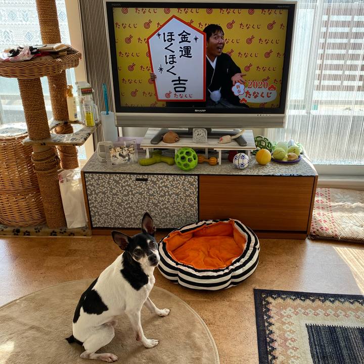 Dd617f99 c438 460f 99f2 da9b3e267b66 1578102176482