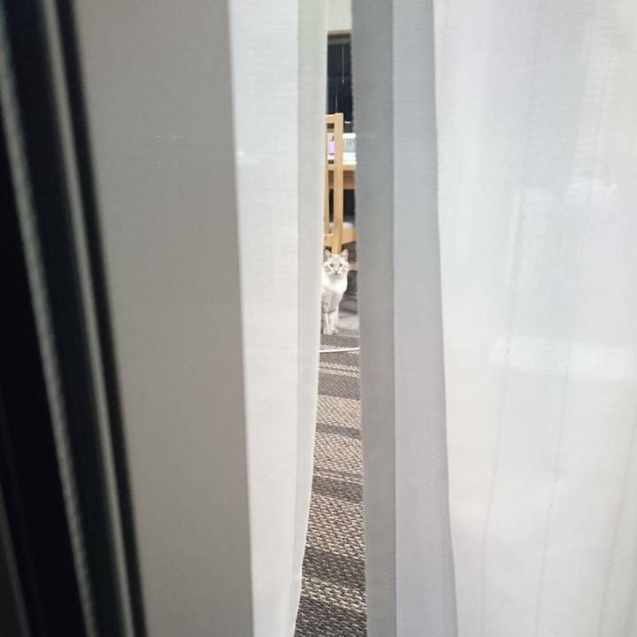 Dd61eee8 03be 41ac b000 cc5a011eec57 1509525808699