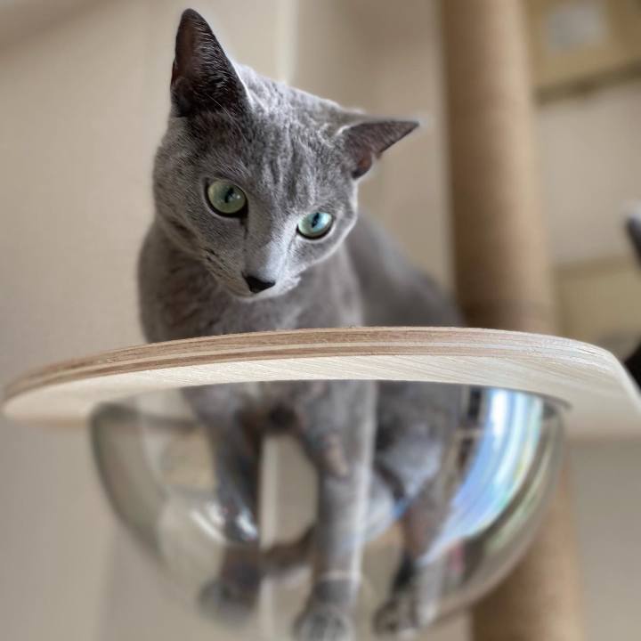 Dd621546 4c68 41f7 a58b 1d50cd789a92 1645166898089