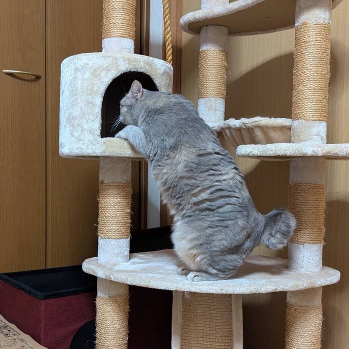 Dd622cf4 0f72 452e bc2d ca68152ed657 1753313186628