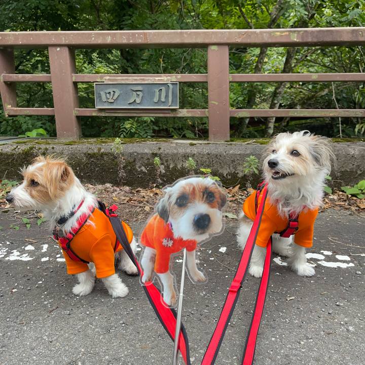 Dd62367a 9c76 48a5 9156 1b84e0f1bd21 1758711432019