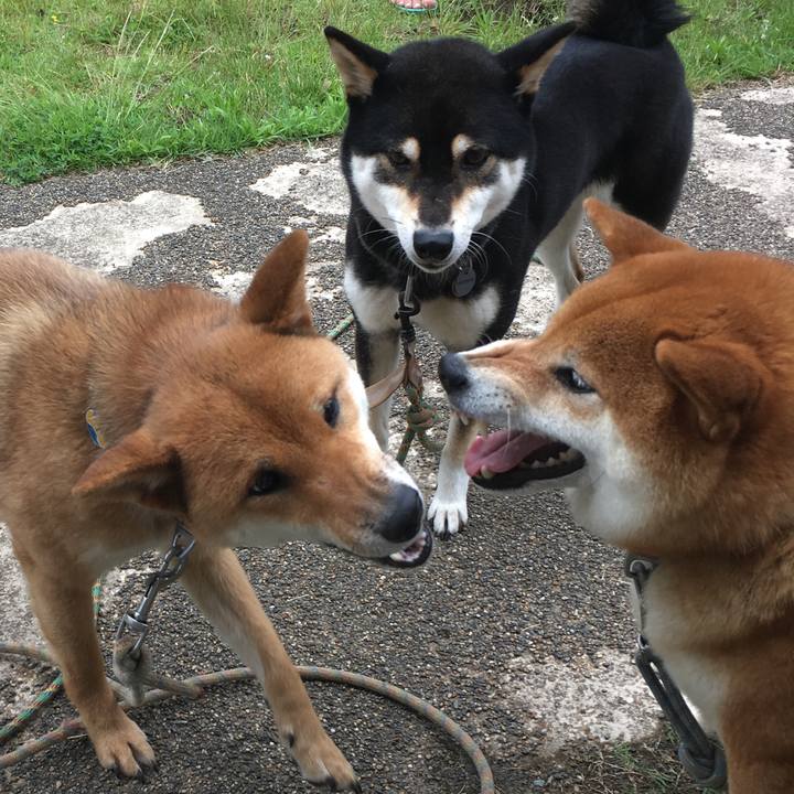 Dd624ff5 9c59 42f1 9618 62b24597024f 1562273597647