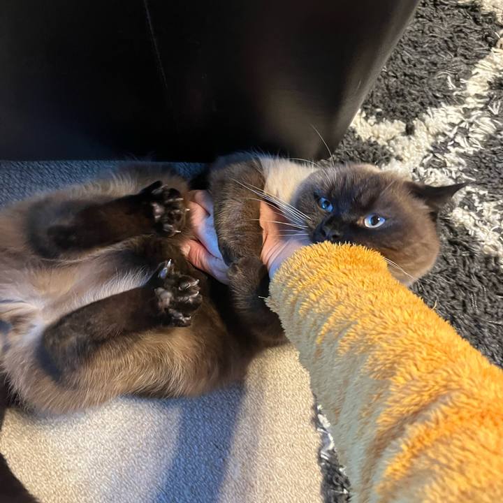 Dd625ba1 3580 4e70 8086 fdeb7b75de37 1641775752144