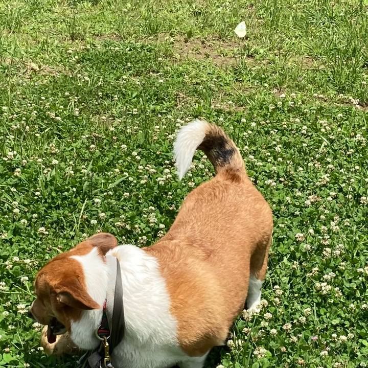 Dd626252 0dc5 40fd b373 5c685f1fca4f 1655681877583