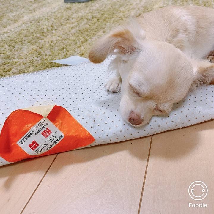 Dd6268f6 5bcd 4fec 9467 41d5e66e56c5 1598267001187