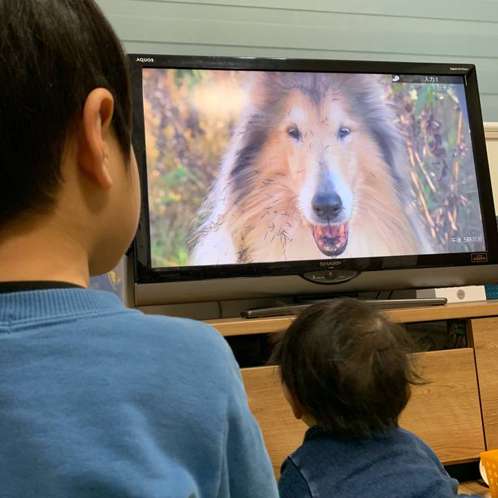 Dd6271eb 592d 4d69 8c43 df39dbcab3d2 1551346395975