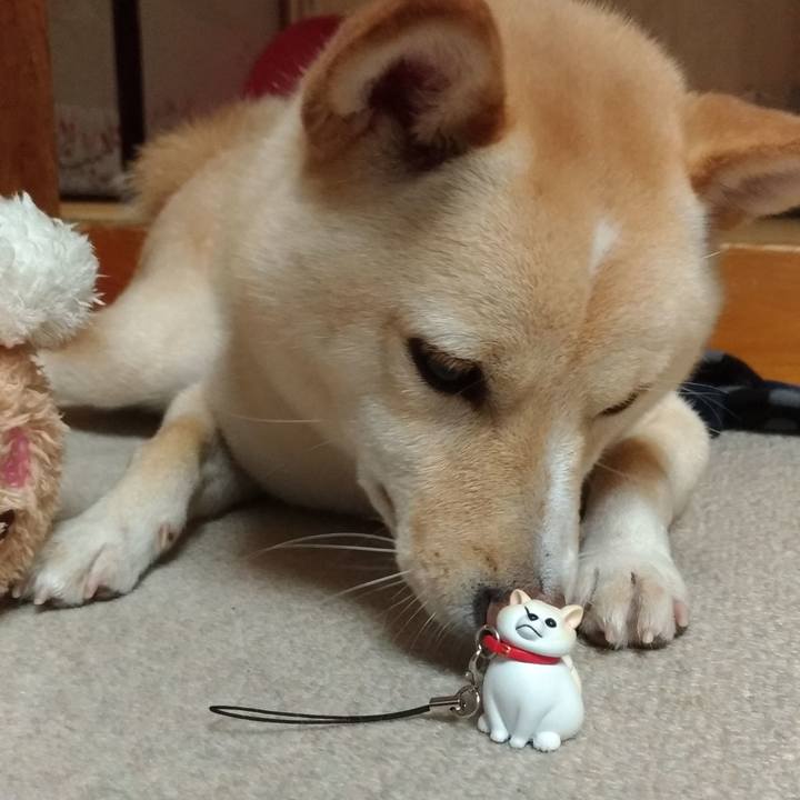 Dd6287c6 015f 43af b641 d840e45d839b 1538652355275