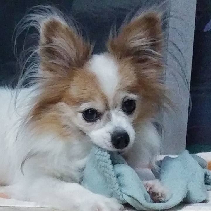 Dd629b3c cb24 4ad0 b5a9 96fc8b55b1e0 1537864527801