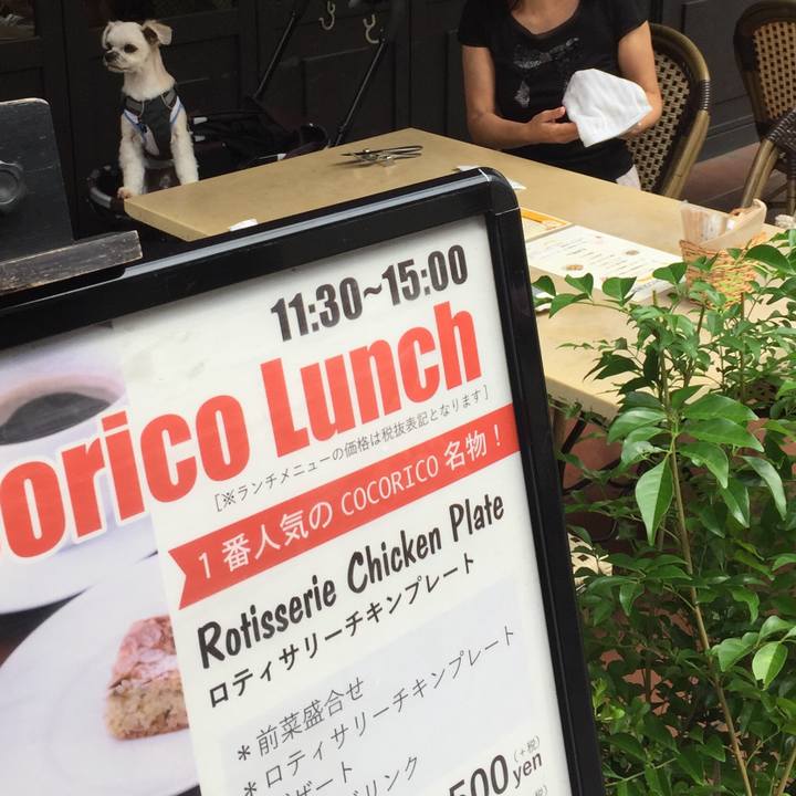 Dd62cdca b61e 4979 b43c a645c7c93dff 1567305834345