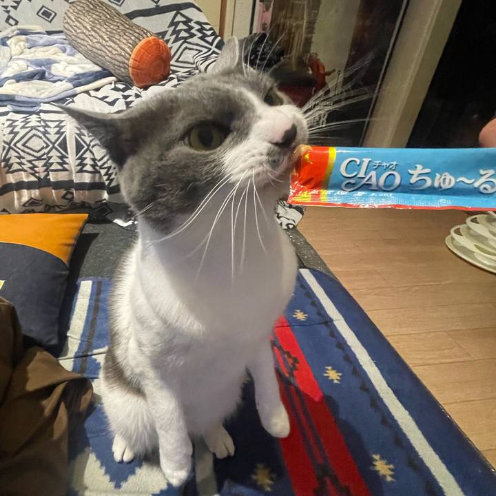 Dd62df83 491c 4ab4 b7bb bbf419a54e52 1676011531642