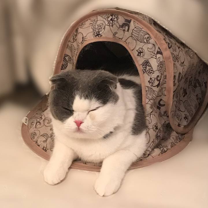 Dd6318d5 2285 4103 a02f f1faa1f1f425 1531703803489