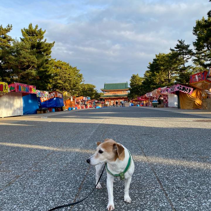 Dd63276b e407 4a9c 9ecb a3665f9f5db6 1609630964244