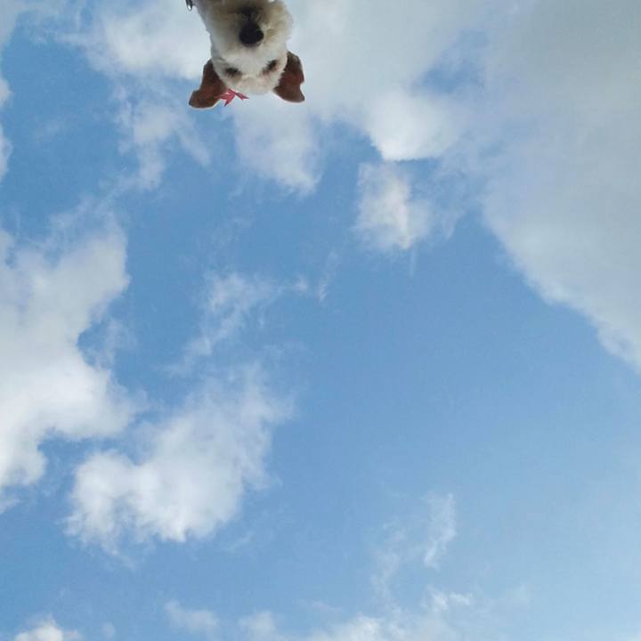 Dd63290b 0883 4861 9980 1e5cec1dd483 1576306717799