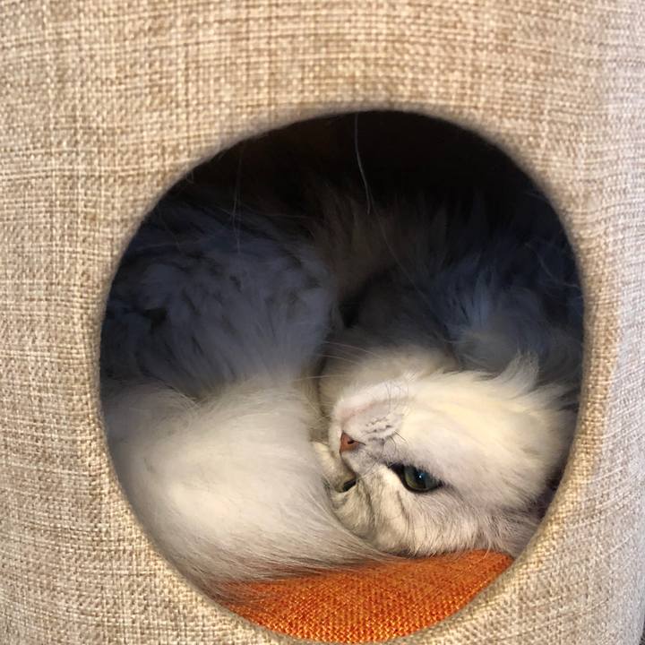 Dd6346bb e765 4207 8a49 168e875db882 1584331587812