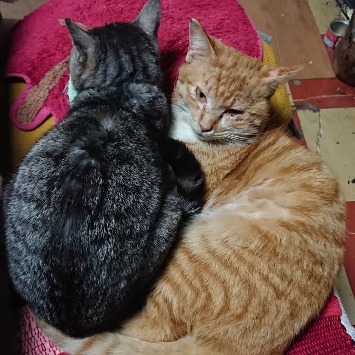 Dd636952 7d2c 4dc3 8283 b75b4531e3b8 1551006393164