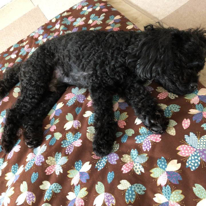 Dd63a743 35be 45e7 9c12 e29feac5d0bd 1533954573140