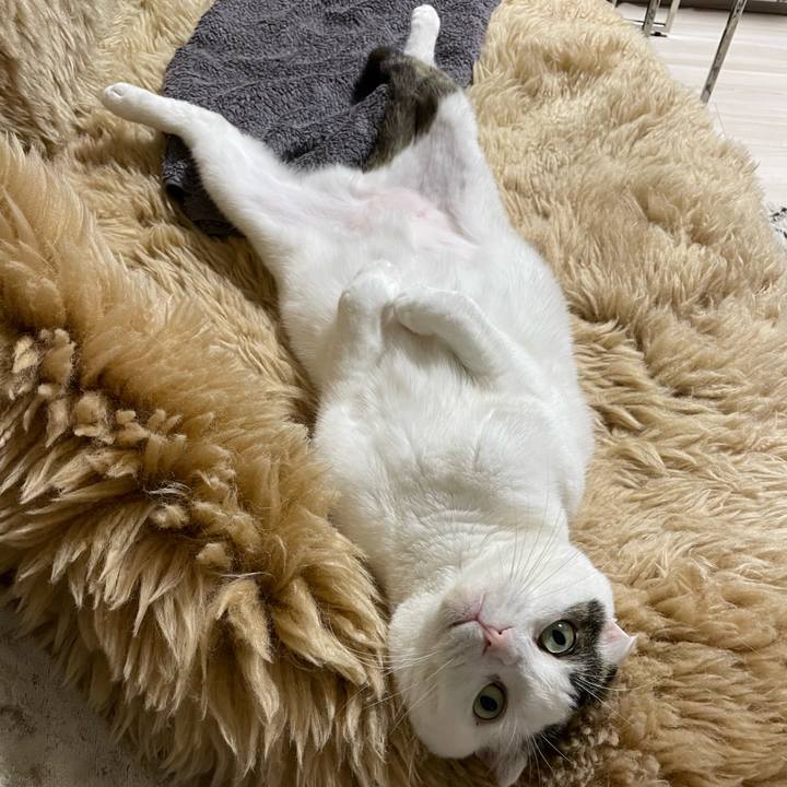 Dd6430d7 f196 4522 802f a8b26b2a67b1 1654505510071