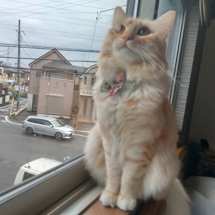 Dd643fbd 750a 40fb 8f98 bb6bef74b627 1639711231853