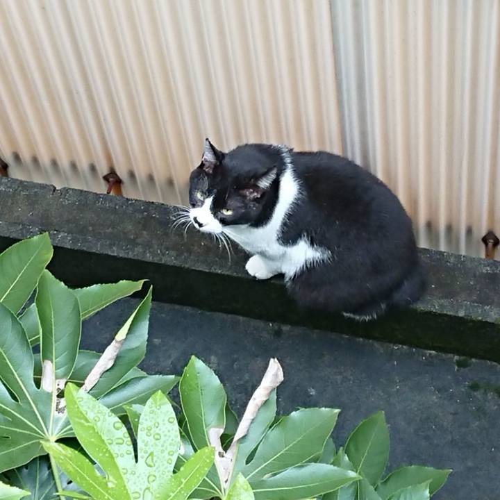 Dd6473b0 d5c1 4358 a872 ee6c06f72a09 1665373072903