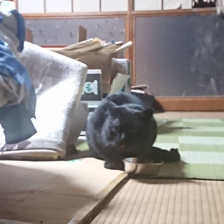 Dd6484a8 90a8 4f92 b6e0 e4d089d208f0 1614160276985