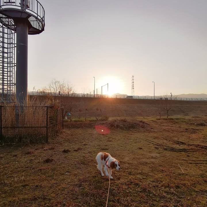 Dd64a0b9 6ca8 4bf2 b5f0 1f7f55c92fc8 1613002796614