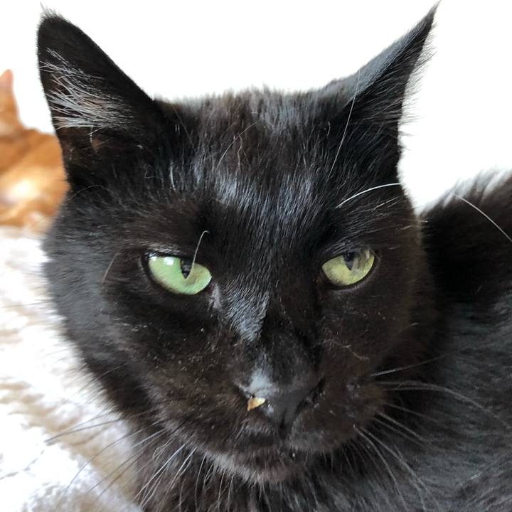 Dd64b3d9 5e33 4e0d b10e fe1363fe79a2 1597136385116