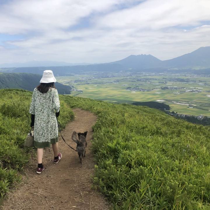 Dd6500f0 1a1b 4951 8f0a 8b3d1d29a61f 1535468969802