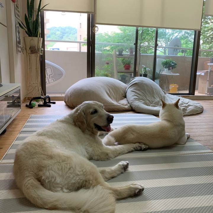 Dd6507ee 9ae7 42d9 a2df 43ce255645ad 1592184324772