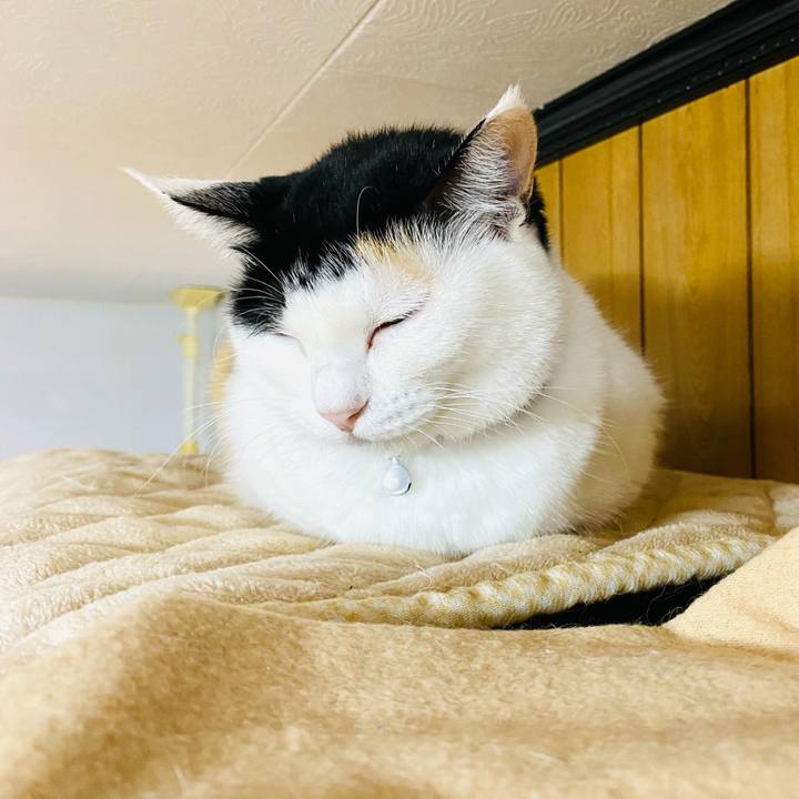 Dd6565a3 ddbc 4ac7 b910 7bf7ff627d30 1667165113576