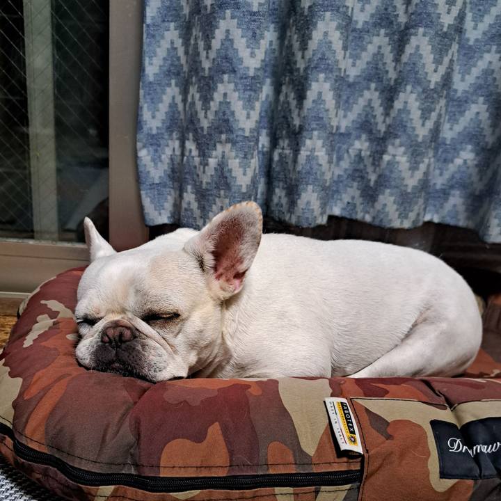 Dd65cb3b a0f0 41a0 a4d7 5815ef3b4550 1723112786323