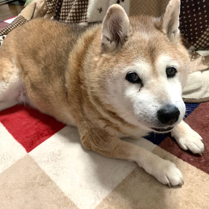 Dd65ce93 0e50 46fa ab92 dd436a6287b7 1640041357504