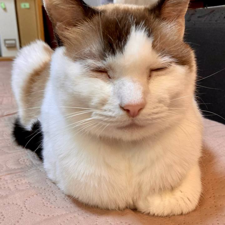 Dd660612 75e3 4284 a91f a3ed853e9e58 1666262014346