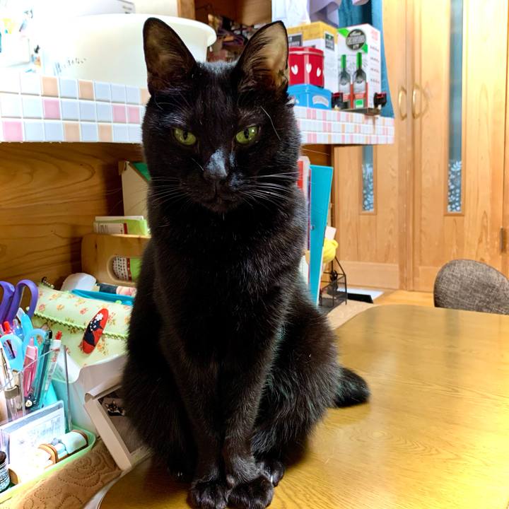 Dd661736 5f22 4694 8f63 63dc0b090bd7 1615436659093