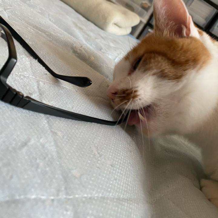 Dd663438 4ded 4401 85dc 439264890ed4 1658878254620