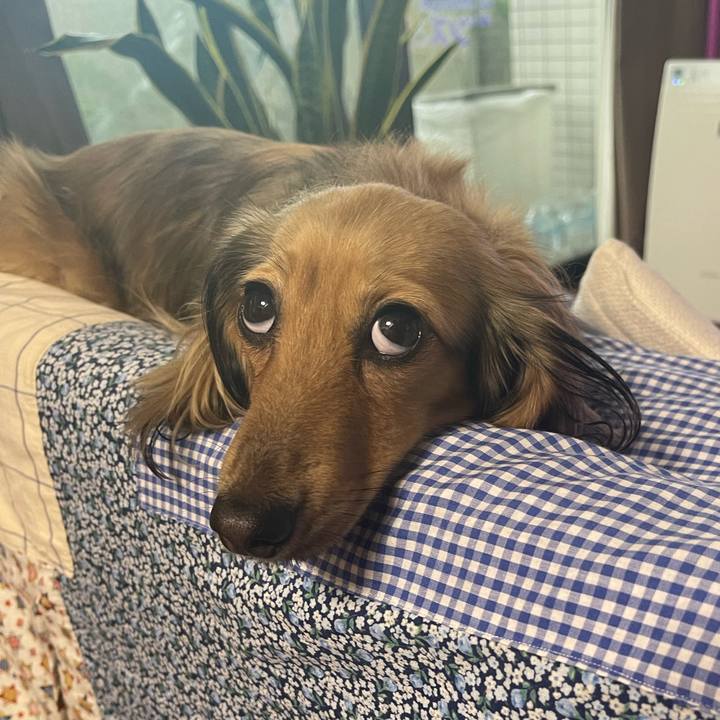 Dd663487 0020 42ed 9734 4ae95dd3f4d2 1690838536023