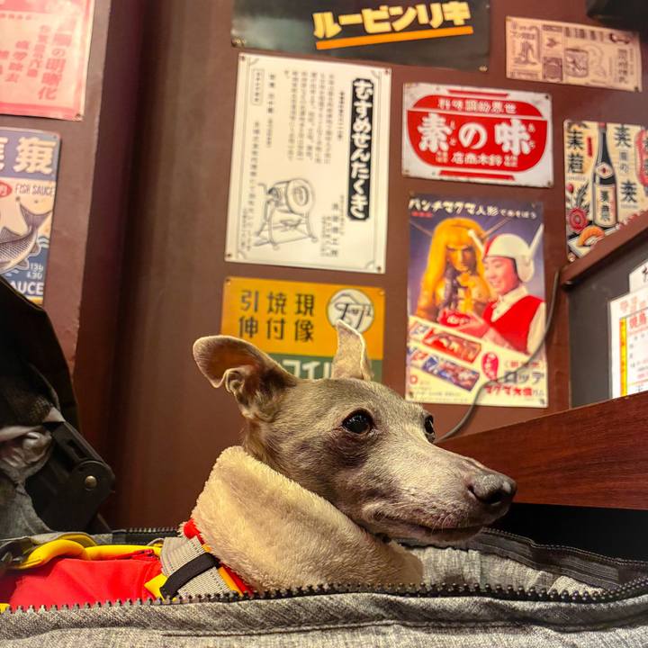 Dd665543 b1af 4dc2 bef5 ffd0a9ad0ee7 1767089890011