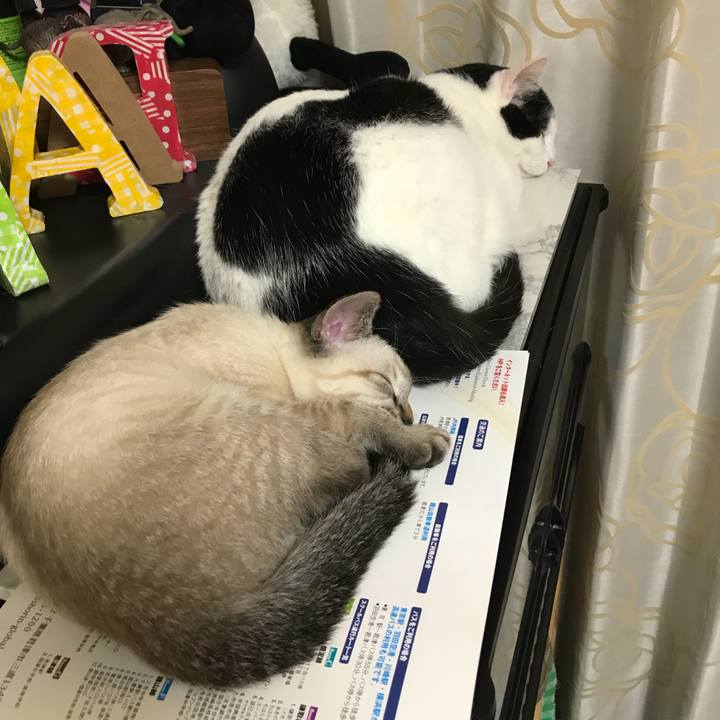 Dd6658cf 77fa 4145 9547 7e82701c68ee 1530787349275