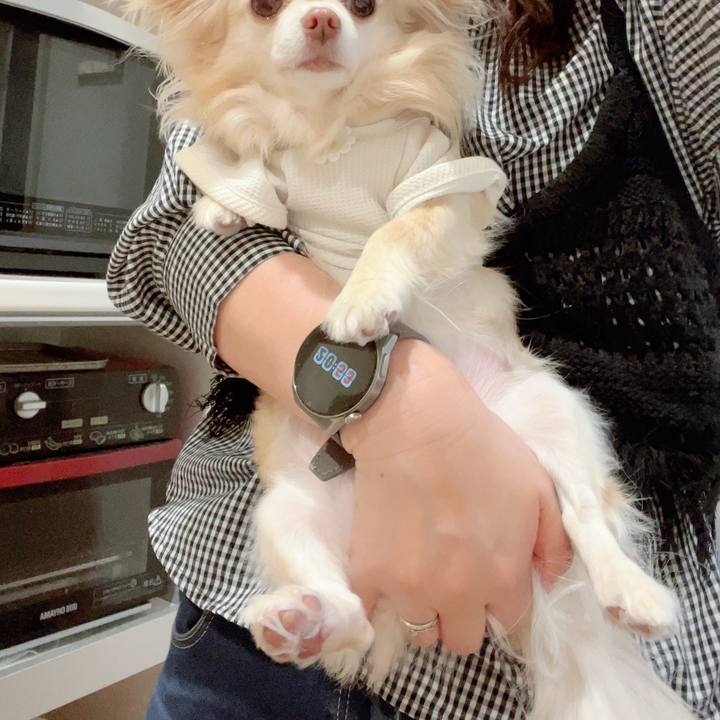 Dd66987e d29d 44a3 841f 92e85b16075f 1744977469046