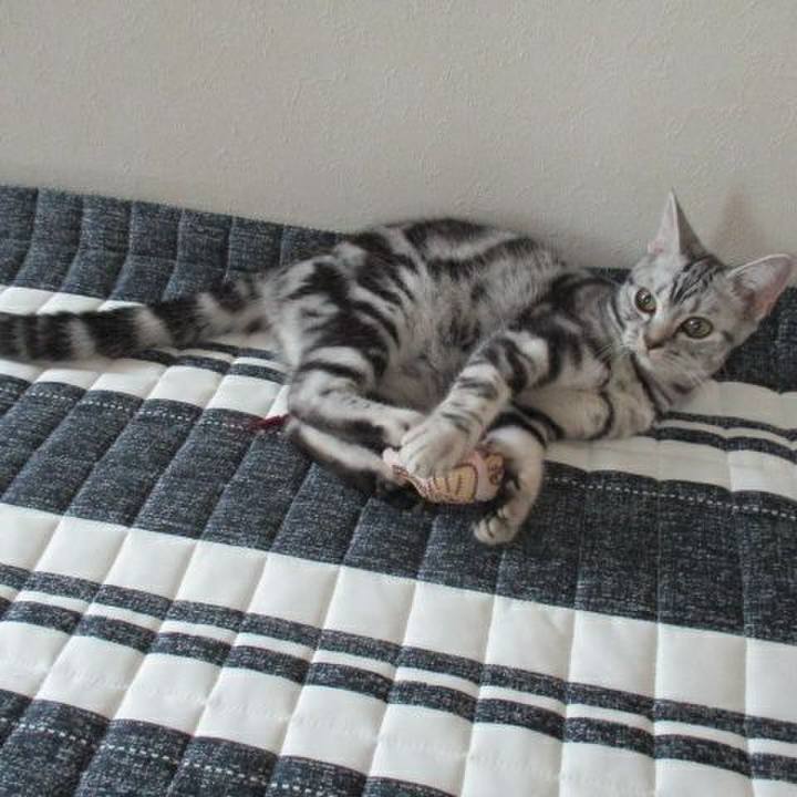 Dd66cd2b 545f 4c9d 880d 5c3ee2b77dfd 1537765138012