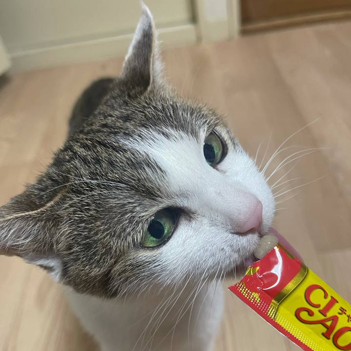 Dd66fe25 12cb 49cc ada8 3cf8e6f7dabb 1624529726107