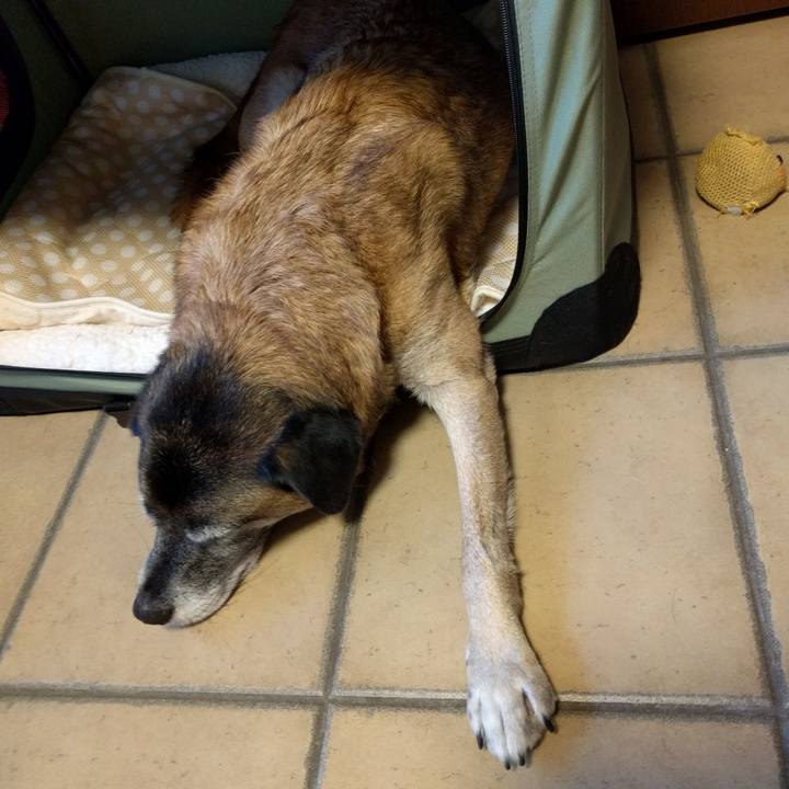 Dd676d4d 72f2 4bed 8cba 278be3e2bee1 1698110267944