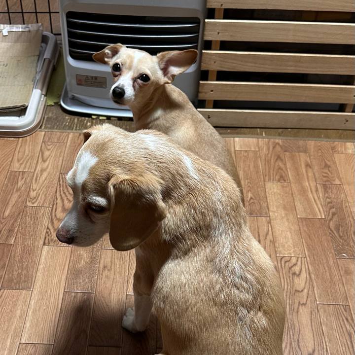 Dd679f2b 691b 438c 82fb a3e44e0682c8 1735734579527